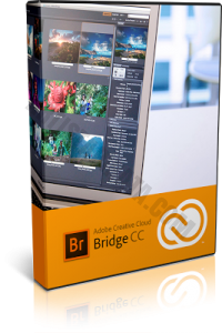 Adobe Bridge CC 2017 DRIVE