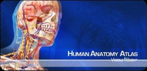 human anatomy atlas mega atlas 3d del cuerpo humano