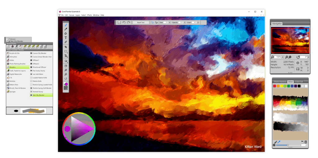 MAC OSX Corel Painter Essentials 6 Corel para novatos Artista Pirata