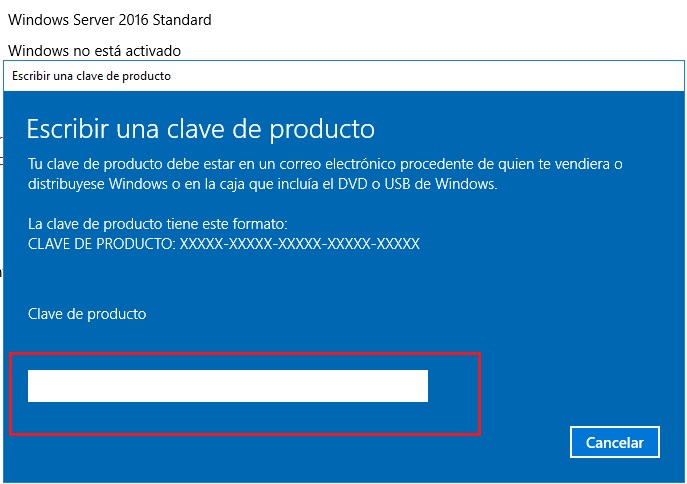 licencia windows server