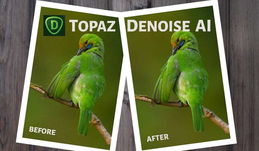topaz denoise ai mac plugin topaz denoise ai mac plugin