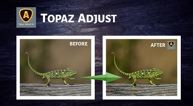 TOPAZ ADJUST AI PARA MAC