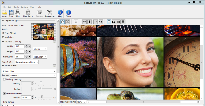 Benvista PhotoZoom Pro 8.1.0 (x86-x64), Plug-ins (x86-x64)  Photozoom-8-pro-full-mega