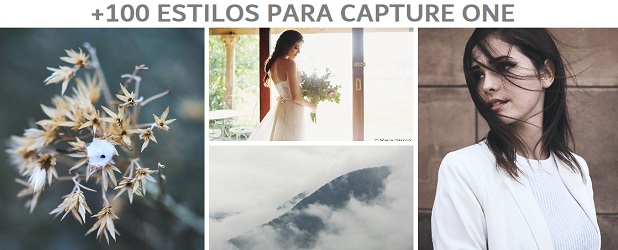 estilos para capture one