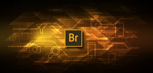 Adobe Bridge CC 2020