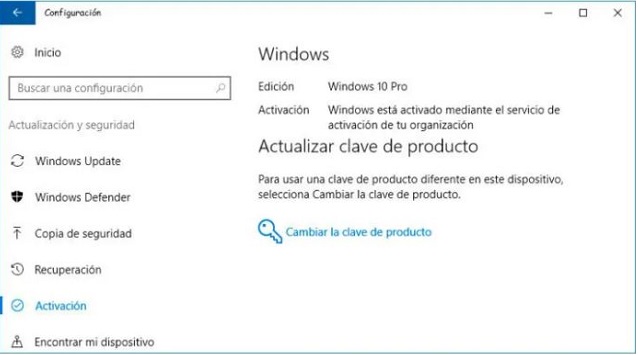 microsoft windows 10 pro mayoristas