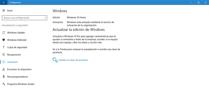 licencia windows 10 home