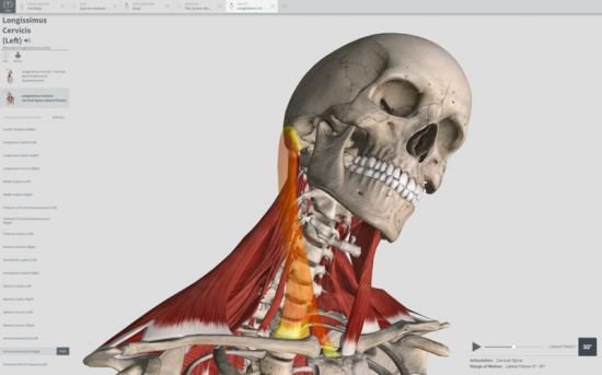 COMPLETE ANATOMY 2019 FULL