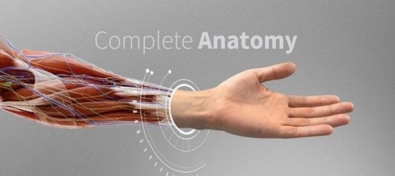 COMPLETE ANATOMY 2019 MAC