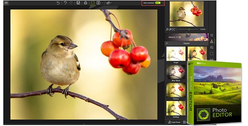 inpixio photo editor 10 full