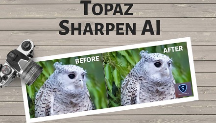 topaz sharpen ai download