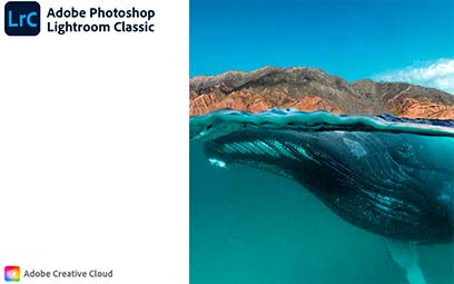 adobe lightroom classic 2022 torrent adobe lightroom classic 2022 torrent