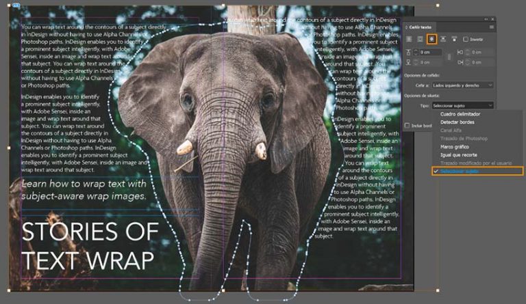 indesign for ipad 2021 indesign for ipad 2021