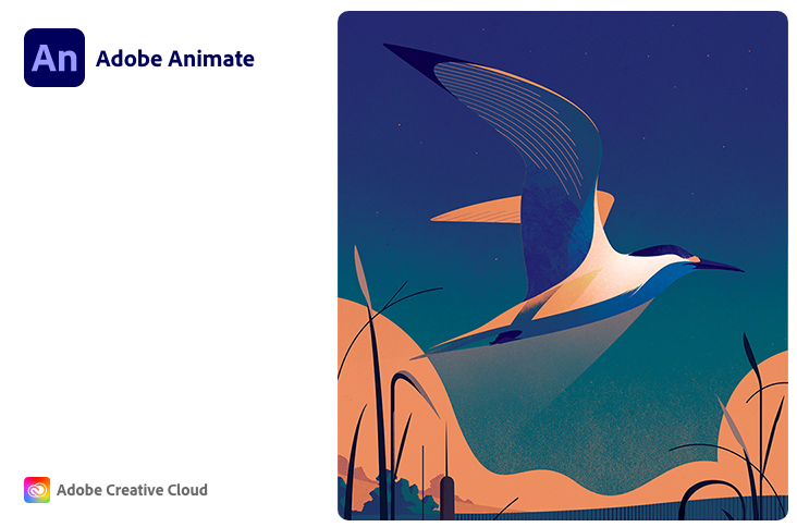 Adobe Animate Cc 2021 V21 0 7 Win Mac Artista Pirata