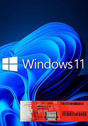 COA Windows 11 Pro