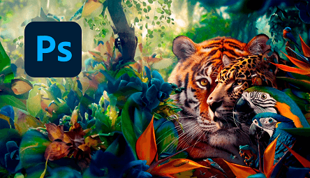 Adobe Photoshop CC 2024 - v25.5.0 - AI Generativa