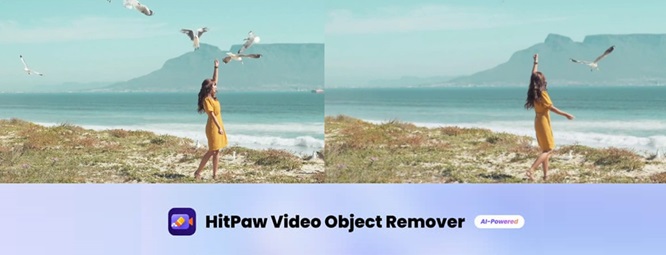 Hitpaw Video Object Remover full