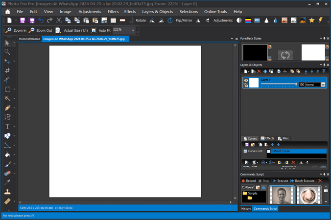 Photo POS Pro full