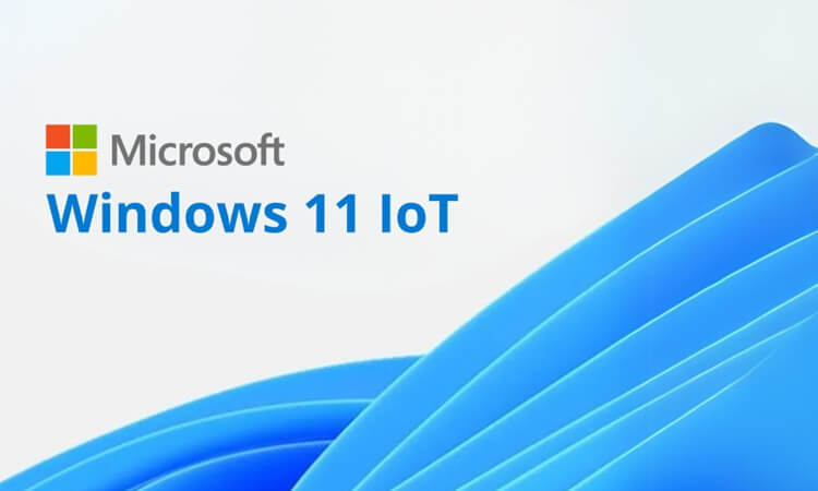 Licencia Windows 11 IoT Enterprise 2024