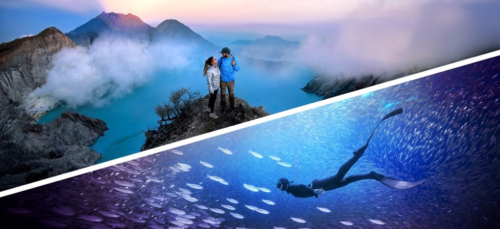 Bundle oficial Adobe Photoshop Elements 2026 + Premiere Elements 2026