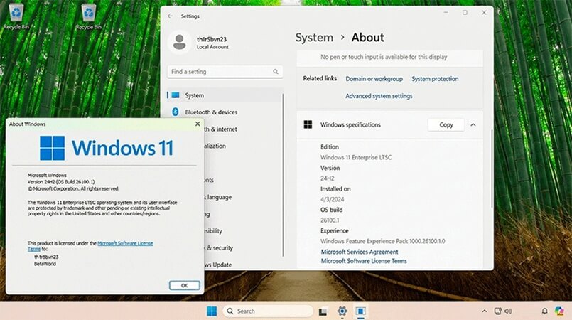 Windows 11 IoT Enterprise LTSC 2024 licencia